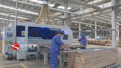 泗陽 積極引導加快轉型，推動木材加工和家具制造業做大做強